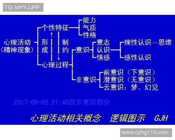 独家分析：北京极限运动队的灵活性对比