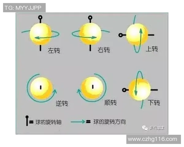 从零开始：乒乓球技术完全攻略_1